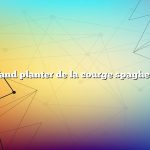 Question : Quand planter de la courge spaghetti en Géorgie